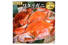 数量限定 ボイルワタリガニ 4杯 魚太郎 ボイル前:1匹200g～300g 新鮮 海鮮 ワタリガニ 渡り蟹 かにみそ 茹で ワタリ蟹 味噌 カニ わたり蟹 かに 魚貝類 ワタリガニ 蟹 ボイルガニ 味噌汁 ワタリガニ 魚貝 かに 渡りガニ 魚介 蟹 かに 天然 ワタリガニ 渡蟹 海産物 ふるさと納税蟹 海の幸 ふるさと納税かに ふるさと納税カニ 愛知県南知多町 人気 おすすめ 愛知県 南知多町 