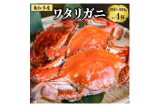 数量限定 ボイルワタリガニ 4杯 魚太郎 ボイル前:1匹200g～300g 新鮮 海鮮 ワタリガニ 渡り蟹 かにみそ 茹で ワタリ蟹 味噌 カニ わたり蟹 かに 魚貝類 ワタリガニ 蟹 ボイルガニ 味噌汁 ワタリガニ 魚貝 かに 渡りガニ 魚介 蟹 かに 天然 ワタリガニ 渡蟹 海産物 ふるさと納税蟹 海の幸 ふるさと納税かに ふるさと納税カニ 愛知県南知多町 人気 おすすめ 愛知県 南知多町 