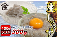 生しらす 300g ( 100g × 3袋 ) 冷凍 刺身 真空パック ごはん 丼 サラダ 魚 料理 愛知県 南知多町 師崎 シラス しらす 小魚 魚貝 魚貝類 しらす シラス 海鮮 しらす丼 シラス丼 ふるさと納税しらすしらす おすすめ 大人気 南知多産しらす愛知県産しらす