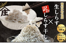 生しらす 200g 訳ありしらす干し 500g セット 冷凍 刺身 真空パック しらす干し 炒飯 パスタ ごはん 丼 サラダ 魚 料理 愛知県 南知多町 師崎 シラス しらす 小魚 魚貝 魚貝類 しらす シラス 海鮮 しらす丼 シラス丼 ふるさと納税しらすしらす おすすめ 大人気 南知多産しらす愛知県産しらす 