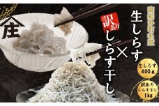 生しらす 400g 訳ありしらす干し 1kg セット 冷凍 刺身 真空パック しらす干し 炒飯 パスタ ごはん 丼 サラダ 魚 料理 愛知県 南知多町 師崎 シラス しらす 小魚 魚貝 魚貝類 しらす シラス 海鮮 しらす丼 シラス丼 ふるさと納税しらすしらす おすすめ 大人気 南知多産しらす愛知県産しらす 