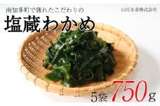 塩蔵わかめ 750g 冷凍 チャック袋入 お味噌汁 和物 ごはん 丼 サラダ 海藻 料理 愛知県 南知多町 師崎 ワカメ わかめ 海藻類 おすすめ 大人気 南知多産わかめ 愛知県産ワカメ