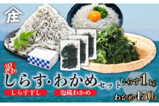 訳ありしらす干し 塩蔵わかめ セット 合計1.45kg ( 訳ありしらす干し 1kg 塩蔵わかめ 450g ) 訳あり 冷凍 しらす干し 塩蔵 わかめ チャック付き ごはん お味噌汁 丼 パスタ チャーハン サラダ 魚 料理 愛知県 南知多町 師崎 小魚 魚貝 魚貝類 しらす シラス 海鮮 しらす丼 おすすめ 大人気 南知多産しらす 愛知県産しらす ワカメ 南知多産わかめ 愛知県産わかめ