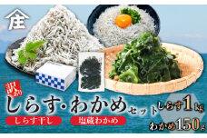 訳ありしらす干し 塩蔵わかめ セット 合計1.15kg ( 訳ありしらす干し 1kg 塩蔵わかめ 150g ) 訳あり 冷凍 しらす干し 塩蔵 わかめ チャック付き ごはん お味噌汁 丼 パスタ チャーハン サラダ 魚 料理 愛知県 南知多町 師崎 小魚 魚貝 魚貝類 しらす シラス 海鮮 しらす丼 おすすめ 大人気 南知多産しらす 愛知県産しらす ワカメ 南知多産わかめ 愛知県産わかめ