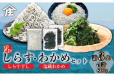 訳ありしらす干し 塩蔵わかめ セット 合計800g ( 訳ありしらす干し 500g 塩蔵わかめ 300g ) 訳あり 冷凍 しらす干し 塩蔵 わかめ チャック付き ごはん お味噌汁 丼 パスタ チャーハン サラダ 魚 料理 愛知県 南知多町 師崎 小魚 魚貝 魚貝類 しらす シラス 海鮮 しらす丼 おすすめ 大人気 南知多産しらす 愛知県産しらす ワカメ 南知多産わかめ 愛知県産わかめ