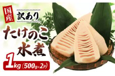 【先行予約 4月～発送】 訳あり たけのこ 水煮 1kg (500g×2パック) 冷蔵 小分け 国産 便利 大きさ 不揃い タケノコ 筍 たけのこ水煮 筍 野菜 ふるさと納税たけのこ たけのこ ふるさと納税タケノコ たけのこ ふるさと納税筍 料理 炊き込みご飯 真空包装 簡単調理 タケノコ お手軽 旬 真空パック 愛知県 南知多町 人気 おすすめ キッチンピグレット KITCHENPIGLET