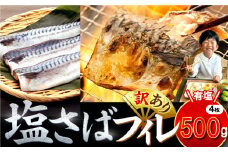 訳あり 塩サバ 約500g 4枚 冷凍 鯖 塩 さば 魚 さかな 海鮮 海産物 おかず サバ 鯖ご飯 おすすめ 人気 さば サバ  鯖 魚 魚介 海鮮 惣菜 塩サバ 塩鯖 焼き鯖 サバ 焼きさば 焼さば 減塩  塩 鯖 さば サバ ギフト おすすめ 人気 ふるさと納税 鯖 サバ さば ふるさと納税さば 愛知県南知多町 南知多 愛知県 愛知県産サバ さば 鯖 南知多町産サバ さば 鯖 塩さば 