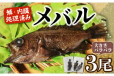 訳あり メバル 3尾 大きさ不揃い 下処理済み 冷凍 ワガ 3匹 魚介類 魚貝類 めばる 煮付け 塩焼き メバル めばる 新鮮 簡単調理 便利 めばる 海鮮 高級 海産物 メバル 数量限定 鮮魚 愛知県 南知多町 人気 おすすめ