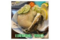 日間賀島産 天然 岩牡蠣 6kg (6~8個) 岩牡蠣 牡蠣 かき 魚貝類 魚貝類 貝 かい 魚介類 海鮮 夕食 ごはん 鮮度抜群 冷蔵 新鮮
