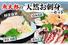 鮮度抜群！ 魚太郎 の 天然 お刺身 セット 真たこ 平貝 白みる貝 鮮魚 魚太郎 たこ焼き バターソテー 貝 かい たいらがい タイラギ 刺身 タコ 蛸 真蛸 白ミル貝 貝 かい たいらがい タイラギ 刺身 タコ 蛸 真蛸 白ミル貝 貝 かい たいらがい タイラギ 刺身 タコ 蛸 真蛸 白ミル貝 ふるさと納税刺身  貝 かい たいらがい タイラギ 刺身 タコ 蛸 真蛸 愛知県 南知多町 