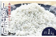 篠島 しらす干し 約1kg
