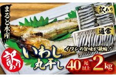 いわしの丸干し 訳あり 2㎏ イワシ 干物  まると水産