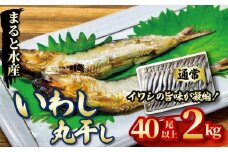 いわしの丸干し 2㎏ イワシ 干物  まると水産