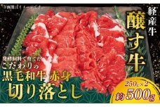 先行予約12月～ 黒毛和牛 赤身切り落とし 約500g (250g×2) 冷凍 経産牛 切り落とし 小分け パック 赤身 肉 牛肉 国産 切落し 赤身肉 国産牛肉 国産牛 牛肉 便利 お手軽 ご褒美 冷凍牛肉 お肉 切り落し お米 に合う こめ に合う コメ と合う 赤身 お肉 赤み 切り落し 切り落とし 牛 きりおとし 切落し ふるさと納税切り落とし 人気 おすすめ 愛知県 南知多町