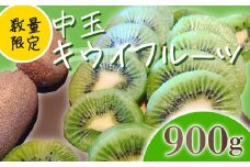 【先行予約】【1月上旬~順次発送】キウイ フルーツ 無農薬 グリーンキウイ 腸活 健康 甘い 手でむける キウイフルーツ みつばちキウイ 中玉 900g 栽培期間中農薬・化学肥料不使用 デザート 果物 くだもの 国産 愛知県 南知多町 【配送不可地域：北海道 青森 秋田 岩手 沖縄 離島】