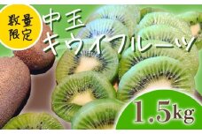 【先行予約】【1月上旬~順次発送】キウイ フルーツ 無農薬 グリーンキウイ 腸活 健康 甘い 手でむける キウイフルーツ みつばちキウイ 中玉 1.5kg 栽培期間中農薬・化学肥料不使用 デザート 果物 くだもの 国産 愛知県 南知多町 【配送不可地域：北海道 青森 秋田 岩手 沖縄 離島】