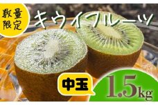【先行予約】【1月上旬~順次発送】キウイ フルーツ 無農薬 グリーンキウイ 腸活 健康 甘い 手でむける キウイフルーツ みつばちキウイ 中玉 1.5kg 栽培期間中農薬・化学肥料不使用 デザート 果物 くだもの 国産 愛知県 南知多町 【配送不可地域：北海道 青森 秋田 岩手 沖縄 離島】
