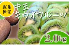 【先行予約】【1月上旬~順次発送】キウイ フルーツ 無農薬 グリーンキウイ 腸活 健康 甘い 手でむける キウイフルーツ みつばちキウイ 中玉 2kg 栽培期間中農薬・化学肥料不使用 デザート 果物 くだもの 国産 愛知県 南知多町 【配送不可地域：北海道 青森 秋田 岩手 沖縄 離島】