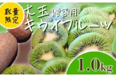 【先行予約】【1月上旬~順次発送】キウイ フルーツ 無農薬 グリーンキウイ 腸活 健康 甘い 手でむける キウイフルーツ みつばちキウイ 大玉 1kg 贈答品 贈答用 贈り物 栽培期間中農薬・化学肥料不使用 デザート 果物 くだもの 国産 愛知県 南知多町 【配送不可地域：北海道 青森 秋田 岩手 沖縄 離島】