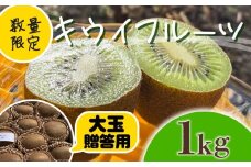 【先行予約】【1月上旬~順次発送】キウイ フルーツ 無農薬 グリーンキウイ 腸活 健康 甘い 手でむける キウイフルーツ みつばちキウイ 大玉 1kg 贈答品 贈答用 贈り物 栽培期間中農薬・化学肥料不使用 デザート 果物 くだもの 国産 愛知県 南知多町 【配送不可地域：北海道 青森 秋田 岩手 沖縄 離島】