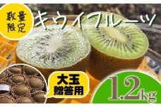 【先行予約】【1月上旬~順次発送】キウイ フルーツ 無農薬 グリーンキウイ 腸活 健康 甘い 手でむける キウイフルーツ みつばちキウイ 大玉 1.2kg 贈答品 贈答用 贈り物 栽培期間中農薬・化学肥料不使用 デザート 果物 くだもの 国産 愛知県 南知多町 【配送不可地域：北海道 青森 秋田 岩手 沖縄 離島】