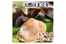 希少 天然 はまぐり 大サイズ 500g×4袋 岬だより 冷凍 はまぐり 天然貝 魚貝 海鮮 魚介 新鮮 はまぐり 蛤 ハマグリ 蛤鍋 はまぐり はまぐり鍋 ふるさと納税貝 ふるさと納税はまぐり ふるさと納税ハマグリ ふるさと納税蛤 人気 おすすめ 愛知県 南知多町