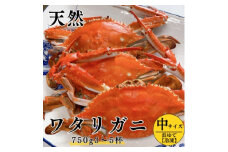 浜ゆで ワタリガニ (中) 750g 3～5杯 冷凍 特製 三杯酢付き セット 旬 期間限定 オス メス 海鮮 魚貝 魚介 新鮮 渡り蟹 カニ 蟹 天然 まるは本館 人気 おすすめ 愛知県 南知多町 魚 海鮮 お魚 カニ お米に合う コメに合う おかず ご飯のお供 魚貝類 わたりがに ボイルワタリガニ カニ 蟹 天然かに ふるさと納税ワタリガニ ふるさと納税蟹 ふるさと納税かに わたり蟹 茹で
