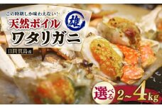 日間賀島産 ワタリガニ 4kg 雄 カニ わたりがに 渡り蟹 伊勢湾 日間賀島 新鮮 鮮度抜群 ふるさと納税カニ 美味しいカニ 美味いカニ 魚介類 魚 海鮮 夕食 ごはん 鮮度抜群 冷蔵 新鮮 惣菜 晩ごはん お米に合う