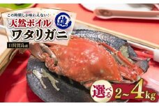 日間賀島産 ワタリガニ 4kg 雄 カニ わたりがに 渡り蟹 伊勢湾 日間賀島 新鮮 鮮度抜群 ふるさと納税カニ 美味しいカニ 美味いカニ 魚介類 魚 海鮮 夕食 ごはん 鮮度抜群 冷蔵 新鮮 惣菜 晩ごはん お米に合う