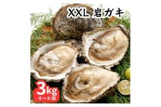 XXLサイズ!天然岩牡蠣3kg(4～6個・特上・殻付き生食用)CAS冷凍カキ 海鮮バーベキューに!