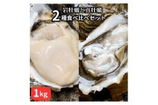 篠島2種の天然殻付きカキ1kg(岩牡蠣&真牡蠣)食べ比べセット 生食用/CAS冷凍　海鮮BBQに