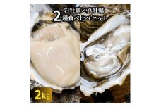 篠島の2種の天然殻付きカキ2kg(岩牡蠣&真牡蠣)食べ比べセット 生食用/CAS冷凍　海鮮BBQに!