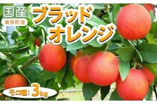 国産（美浜町産）ブラッドオレンジ　『モロ種自宅用 約3kg入り』 | 柑橘類 防腐剤不使用 愛知県 特産品 ※2026年2月中旬～3月中旬頃までに順次発送予定