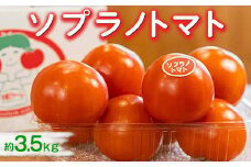 ソプラノトマト　約3.5kg ※2026年1月上旬～5月下旬頃に順次発送予定／とまと 甘い 糖度 6度 7度 新鮮 愛知県 特産品◆