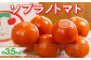 ソプラノトマト　約3.5kg