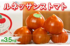 ルネッサンストマト　約3.5kg　※2026年1月上旬～5月下旬頃に順次発送予定／とまと ハート型 新鮮 愛知県 特産品◆
