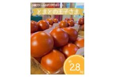 とまとの王子さま　約2.8kg ※2026年1月上旬～5月下旬頃に順次発送予定◆