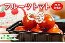 フルーツトマト糖度8.5度　約1.5kg ※2026年1月上旬～4月下旬頃に順次発送予定◆