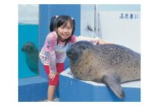 No.107 南知多ビーチランド飼育係一日体験 ／ チケット 水族館 動物 愛知県 特産品