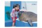 南知多ビーチランド飼育係一日体験