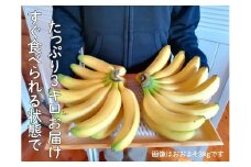 超希少！国産完熟バナナ（モッチリ系の品種）たっぷり3kg すぐ食べられる状態でお届け！