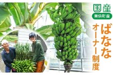 美浜町産ばななオーナー制度 ◆