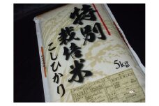 【地元生産者の思いが伝わる一品】特別栽培米こしひかり10kg 令和5年産米◇