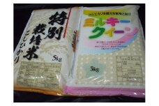 【お米の違いが実感できる】特別栽培米こしひかり5kg＆ミルキークイーン5kgセット 令和5年産米◇