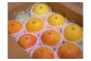 国産（美浜町産）グレープフルーツ 紅白食べ比べ　中玉ギフトセット-２