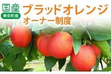 国産（美浜町産）ブラッドオレンジオーナー制度 ◆