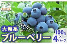 採れたて！大粒系ブルーベリー　100g×4パック　※2026年5月上旬～7月上旬頃に順次発送予定