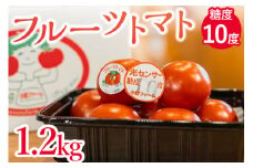 フルーツトマト糖度10度　1.2kg ※2026年1月上旬～4月下旬頃に順次発送予定◆