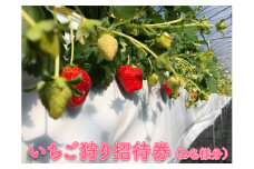 いちご狩り招待券（2名様分）〇｜苺狩り イチゴ狩り ペア券 冬 春 果物
※2024年10月上旬～2025年1月下旬頃に順次発送予定