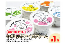 【限定300セット！】ヤギミルクアイスクリーム 6種類×各1個（全6個入）| おやつ スイーツ デザート
※離島への配送不可